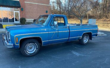 Chevrolet-C10-silverado-1977-blue-173809-13