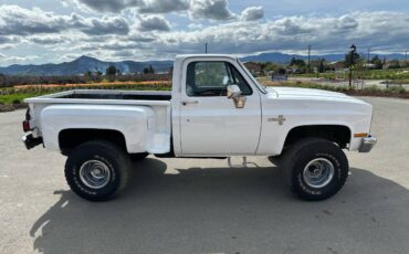 Chevrolet-C10-silverado-step-side-1987-white-53108-8