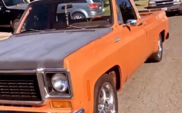 Chevrolet-C10-truck-1974-orange-386242-1