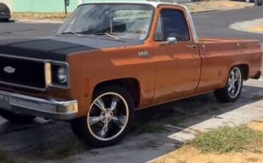 Chevrolet-C10-truck-1974-orange-386242