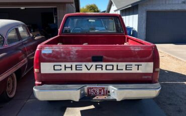 Chevrolet-C1500-1989-168981-2