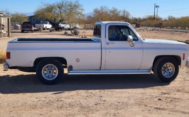 Chevrolet-C20-1973-white-155852-1