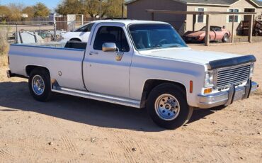 Chevrolet-C20-1973-white-155852-2