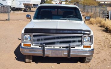 Chevrolet-C20-1973-white-155852-3