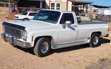 Chevrolet-C20-1973-white-155852