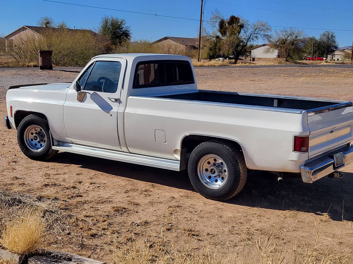 Chevrolet-C20-1973-white-155852-5