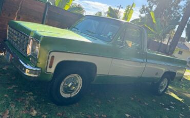 Chevrolet-C20-1975-green-84188-1