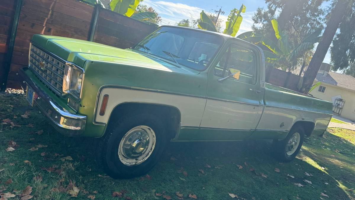 Chevrolet-C20-1975-green-84188-1