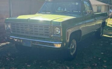 Chevrolet-C20-1975-green-84188-2