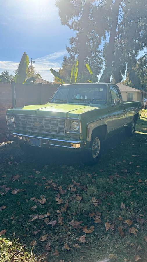 Chevrolet-C20-1975-green-84188-2