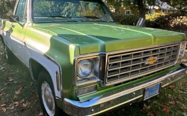 Chevrolet-C20-1975-green-84188