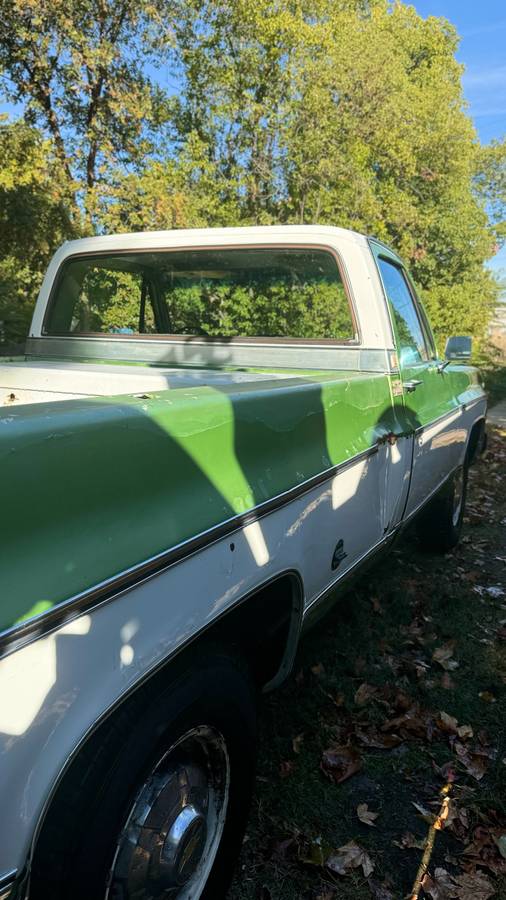 Chevrolet-C20-1975-green-84188-4