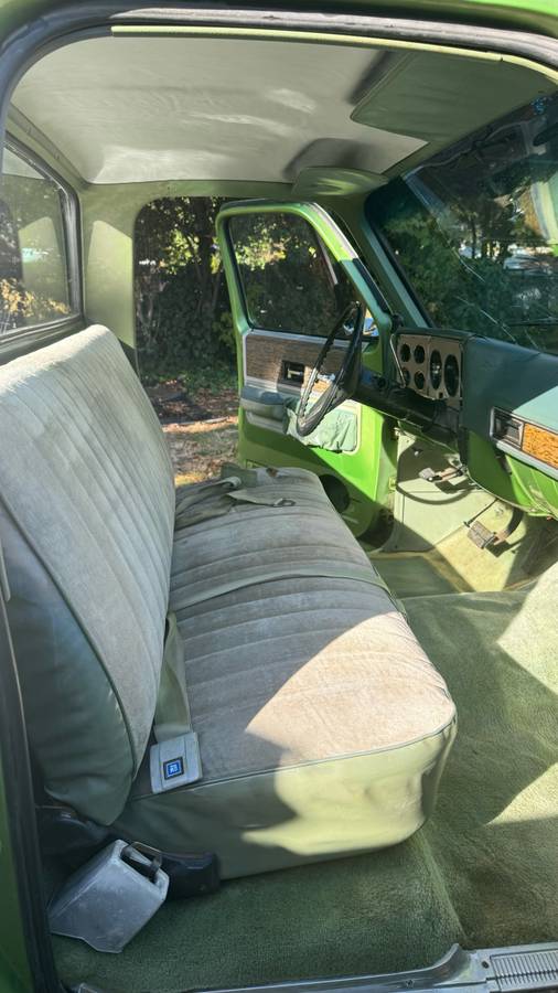 Chevrolet-C20-1975-green-84188-6