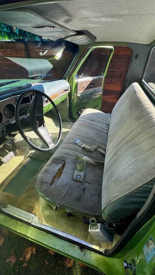 Chevrolet-C20-1975-green-84188-8