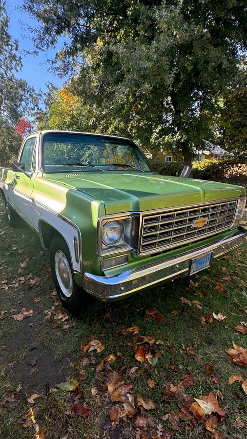 Chevrolet-C20-1975-green-84188