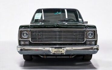 Chevrolet-CK-10-Series-Pickup-1974-Green-BLACK-0-1