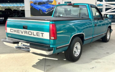 Chevrolet-CK-Pickup-1500-Pickup-1994-Green-Gray-246621-4