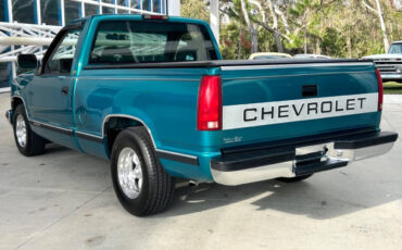 Chevrolet-CK-Pickup-1500-Pickup-1994-Green-Gray-246621-7