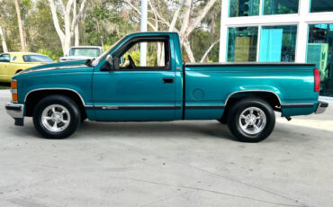 Chevrolet-CK-Pickup-1500-Pickup-1994-Green-Gray-246621-8