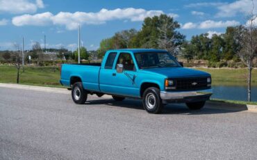 Chevrolet-CK-Pickup-2500-Pickup-1993-Green-Tan-361085-8