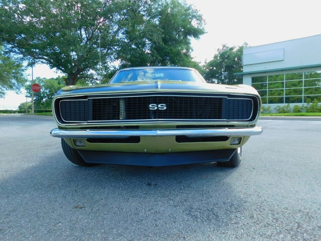 Chevrolet-Camaro-1968-Green-White-35753-10