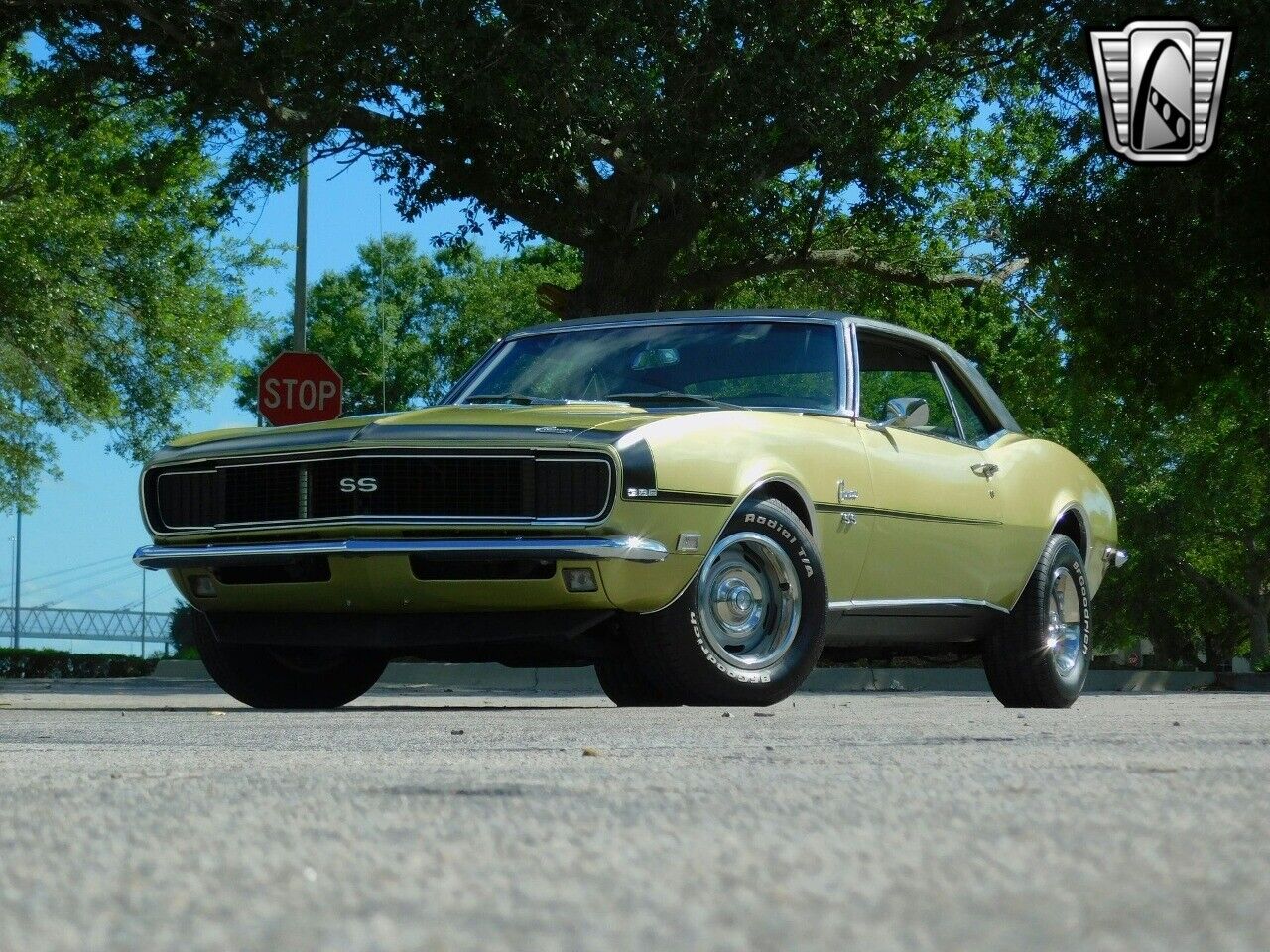 Chevrolet-Camaro-1968-Green-White-35753-2