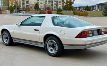 Chevrolet-Camaro-1984-White-BROWN-27378-7