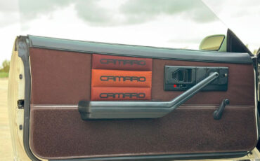 Chevrolet-Camaro-1984-White-BROWN-27378-8