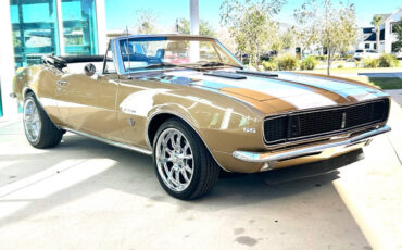 Chevrolet-Camaro-Cabriolet-1967-Gold-Gold-41771-3