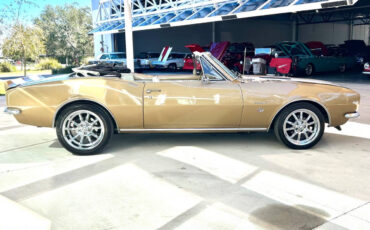 Chevrolet-Camaro-Cabriolet-1967-Gold-Gold-41771-4