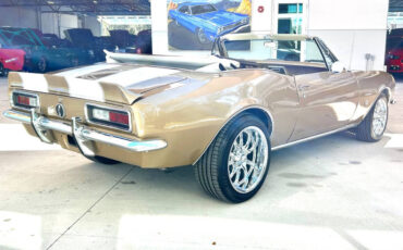 Chevrolet-Camaro-Cabriolet-1967-Gold-Gold-41771-5