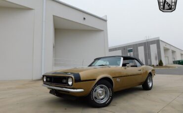 Chevrolet-Camaro-Coupe-1968-Gold-Black-148713-2