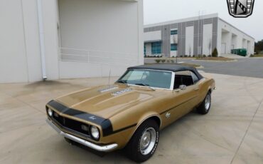 Chevrolet-Camaro-Coupe-1968-Gold-Black-148713-4