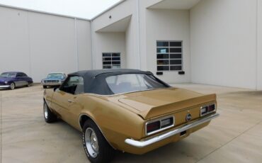 Chevrolet-Camaro-Coupe-1968-Gold-Black-148713-8