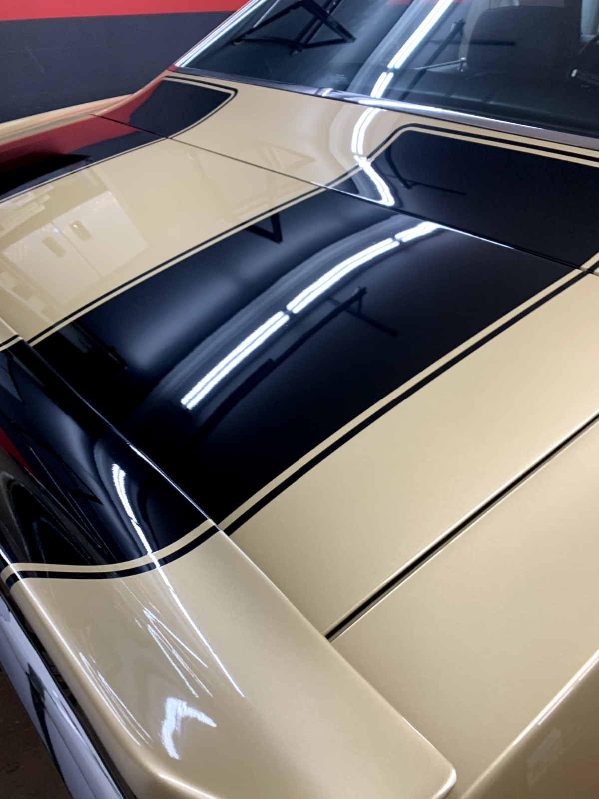 Chevrolet-Camaro-Coupe-1969-Gold-Black-151278-5