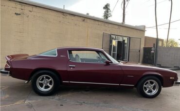 Chevrolet-Camaro-Coupe-1976-maroon-beige-102998-8