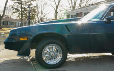 Chevrolet-Camaro-Coupe-1981-Blue-Black-64374-3