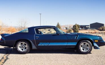 Chevrolet-Camaro-Coupe-1981-Blue-Blue-21222-6