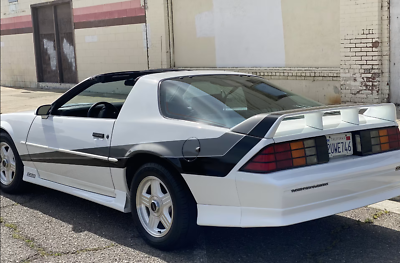 Chevrolet-Camaro-Coupe-1991-White-Gray-13679-4