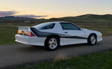 Chevrolet-Camaro-Coupe-1991-White-Gray-13679-5