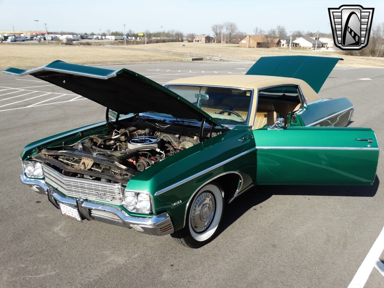 Chevrolet-Caprice-1970-Green-Green-97777-11