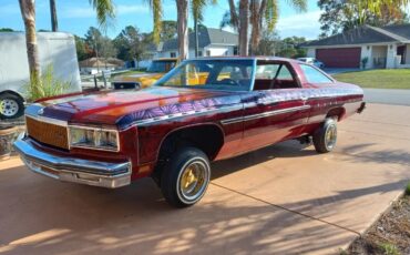 Chevrolet-Caprice-1975-Many-32506-5