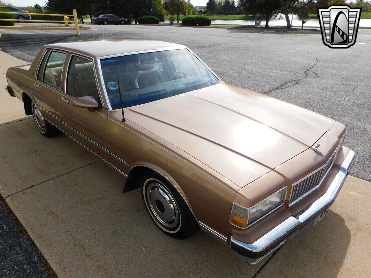 Chevrolet-Caprice-1989-Light-Beechwood-Metallic-Tan-63785-3