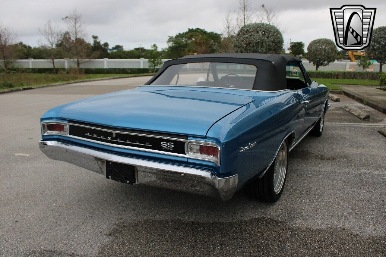 Chevrolet-Chevelle-1966-Blue-Black-309-5