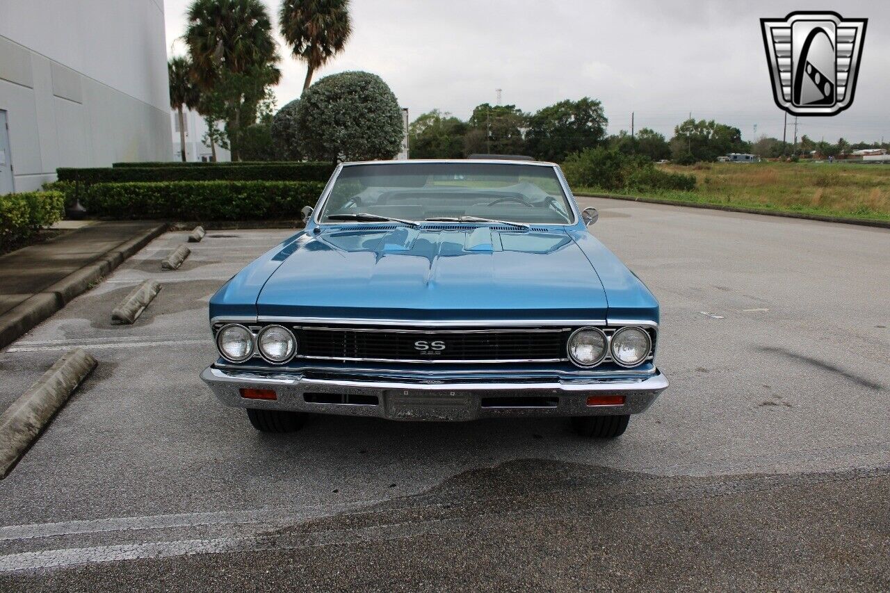 Chevrolet-Chevelle-1966-Blue-Black-309-6