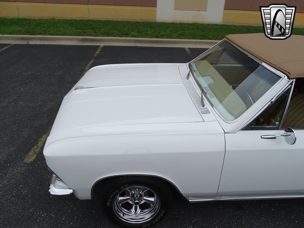 Chevrolet-Chevelle-1966-White-Tan-3806-10