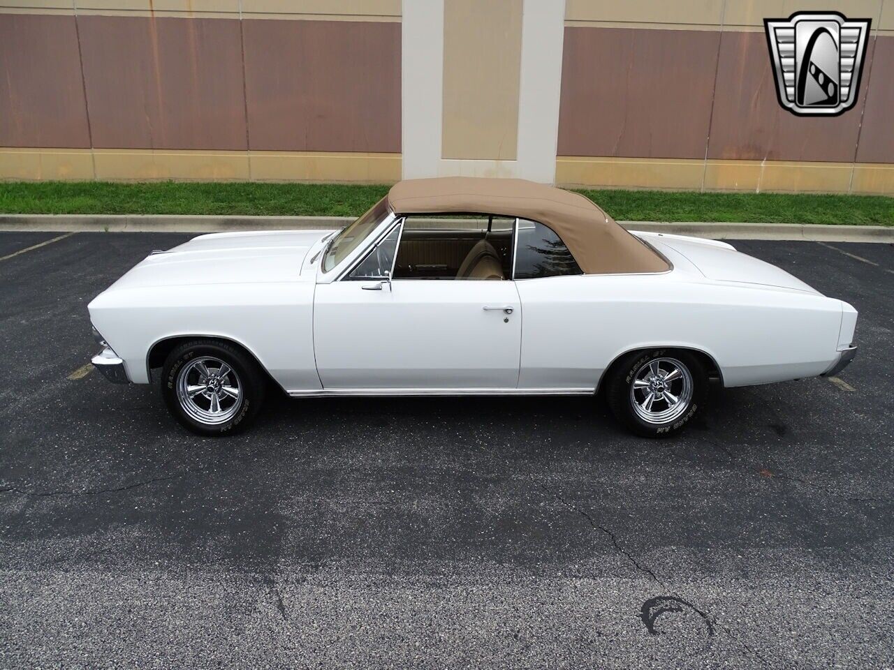 Chevrolet-Chevelle-1966-White-Tan-3806-3