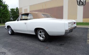 Chevrolet-Chevelle-1966-White-Tan-3806-4