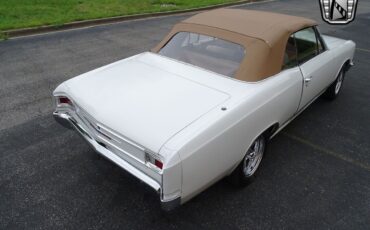 Chevrolet-Chevelle-1966-White-Tan-3806-6