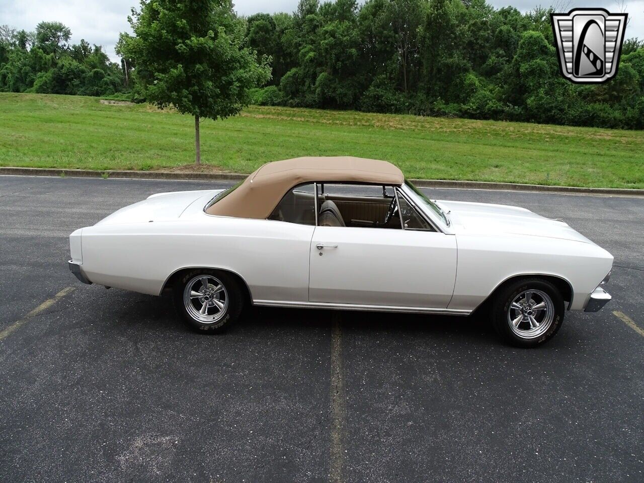 Chevrolet-Chevelle-1966-White-Tan-3806-7